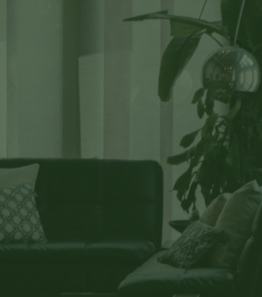 Living room with a green tint overlay