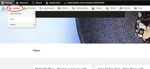 Screenshot of Drupal editor showing the Content menu item is located in the top left hand position
