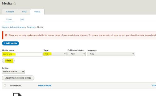 File name, media type File, search