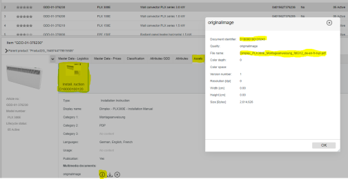 Document Identifier